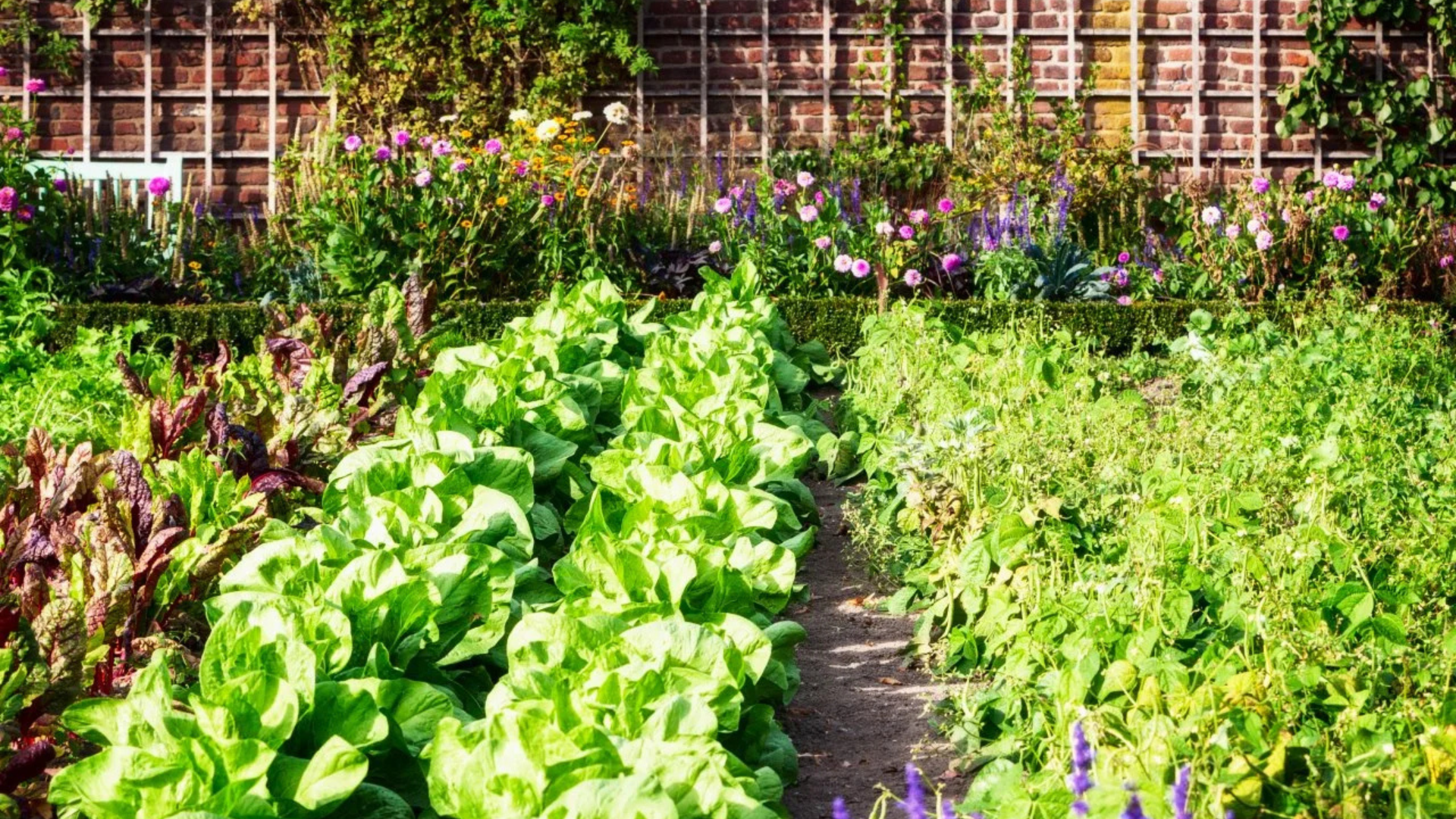 1_20250912_174513_0000