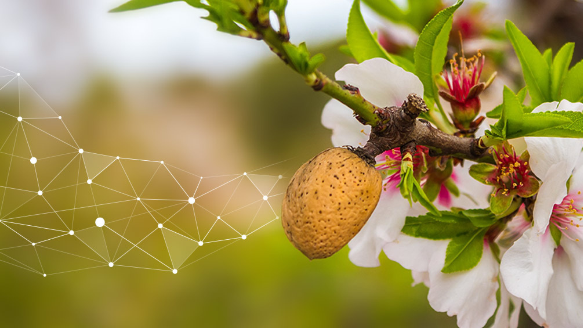 5_20250912_174513_0004