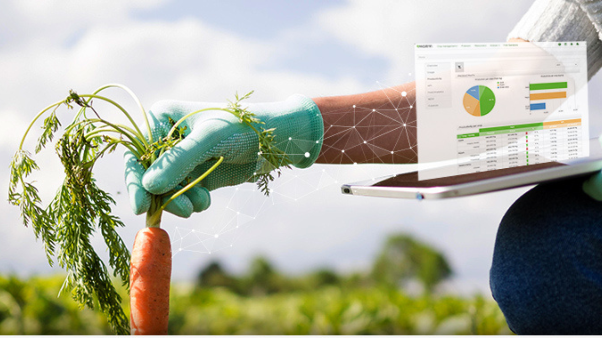 6_20250912_174513_0005