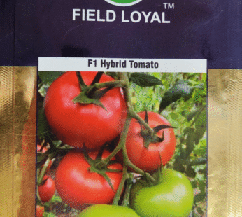 Field Loyal FL 1617 ADIM Hybrid Tomato Seed