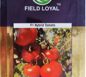Field Loyal FL 61 Hybrid Tomato Seed