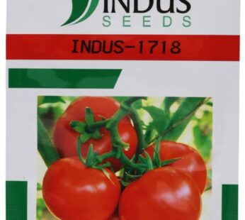 Indus Seeds – Tomato Seeds for Gardening, 1718 10GM