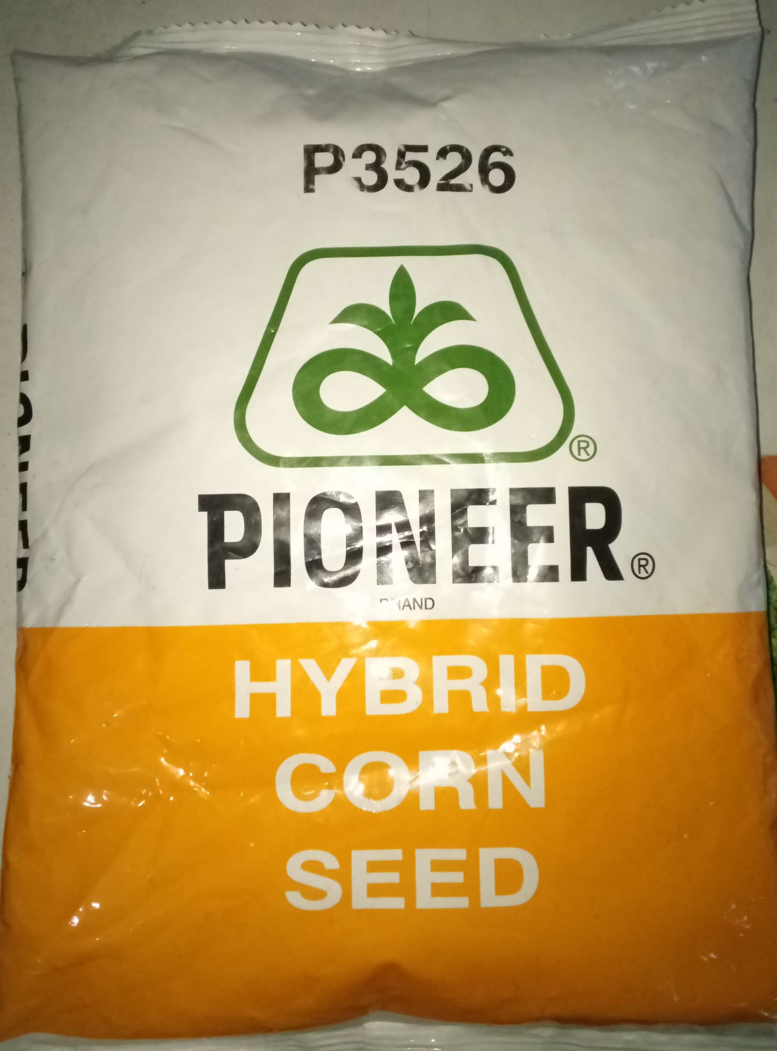 P3526 LT CORN SEEDS Dry Seeds 4kg