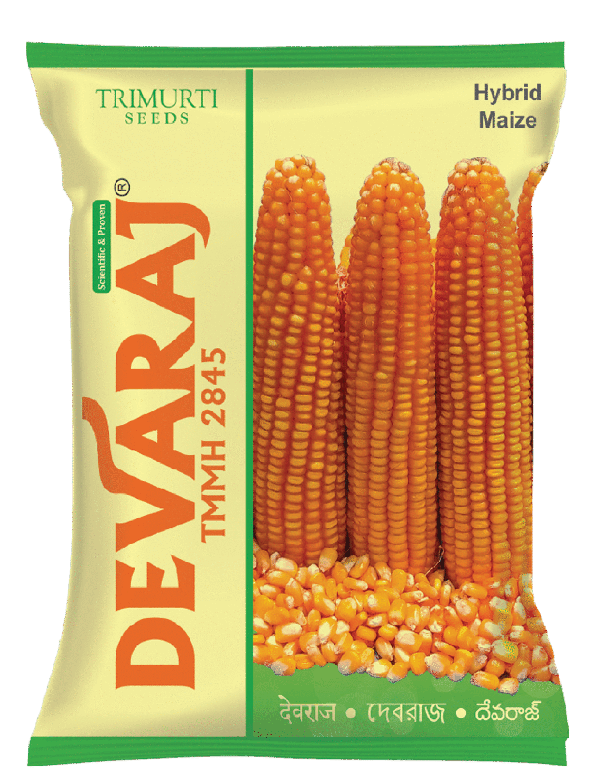 Devaraj (TMMH 2845) Dry Seeds 4Kg