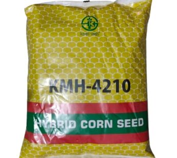 KAVERI 4210 Dry Seeds