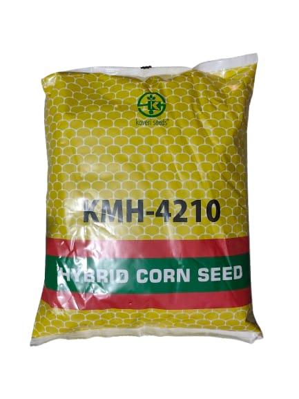 KAVERI 4210 Dry Seeds