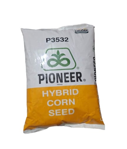 P3532 LT Corn Dry Seeds 4Kg